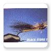 Black Stone Fly